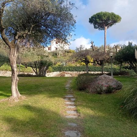 Appartamento Casa degli Ulivi Lerici Esterno foto